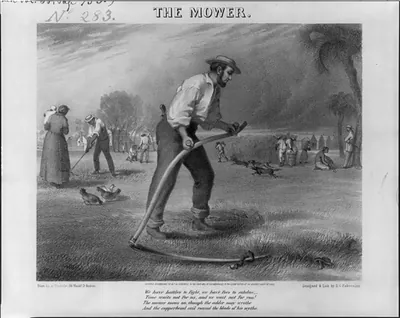 The mower / designed and lith. by D.C. Fabronius.