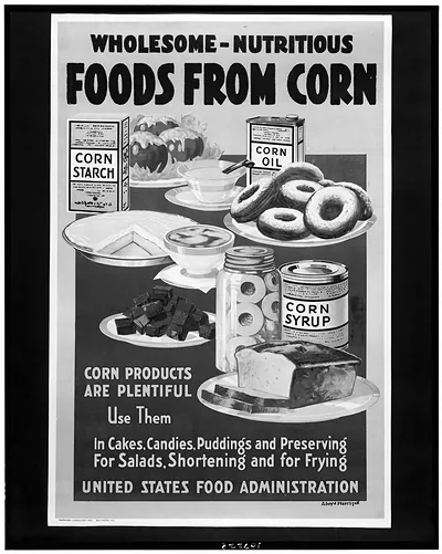 Wholesome - nutritious foods from corn / Lloyd Harrison.
