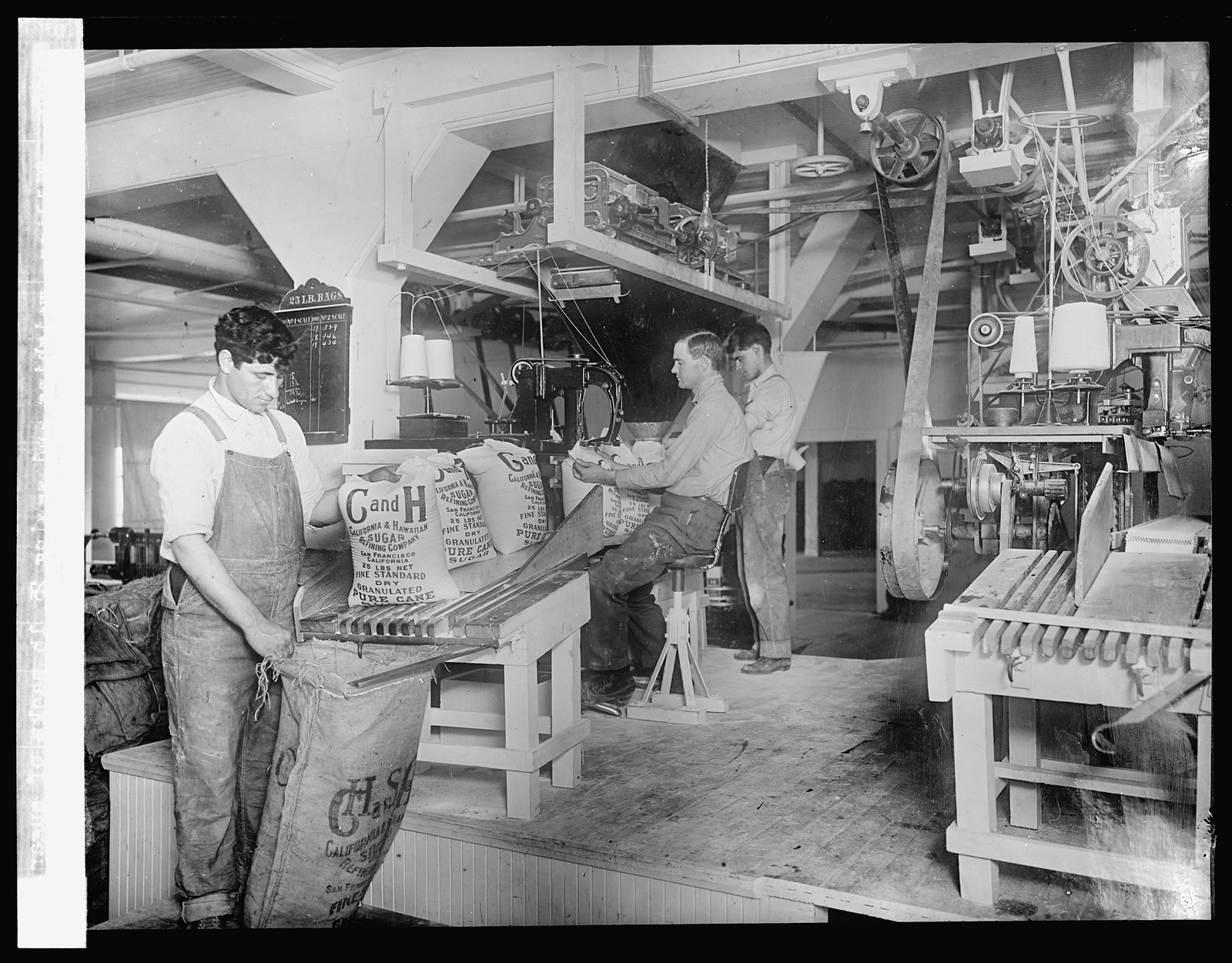 Filling, weighing and sewing 25 lb sacks of sugar, [between 1910 and 1920] — historic photograph