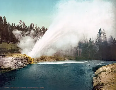 Riverside Geyser, Yellowstone Park