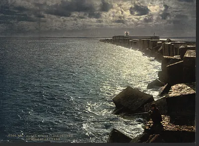 [Moonlight view, with lighthouse, Algiers, Algeria]