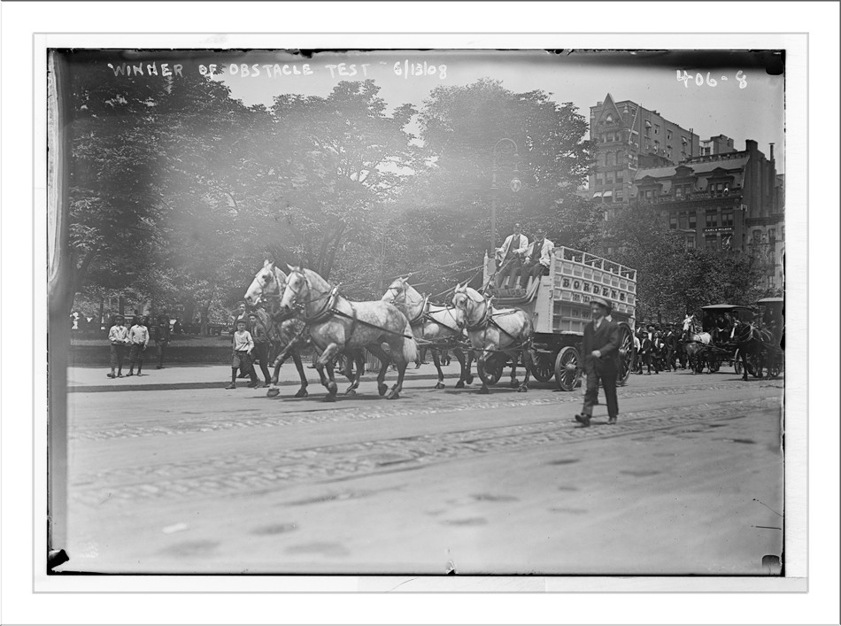 Work Horse Parade, Borden Team, winner of obstacle test, New York, 6/13/08. — historic photograph