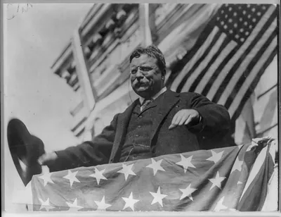 [Theodore Roosevelt, half, on platform, facing left]