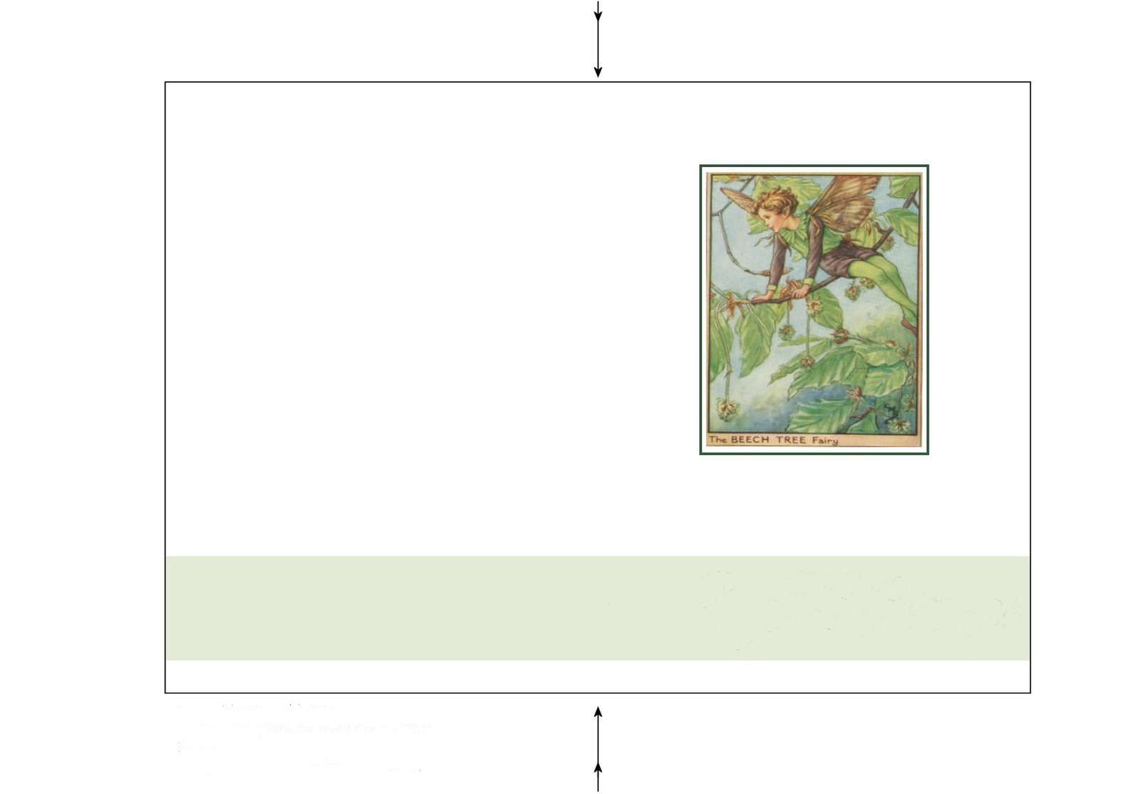 The Beech Tree Fairy, card layout with illustration — historic image