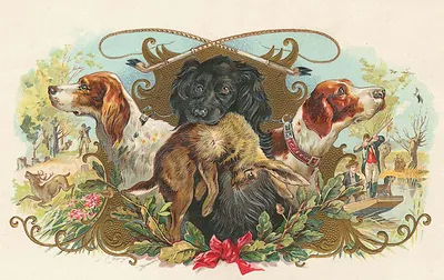 Hunting dogs with hare and crossed shotguns on cigar label