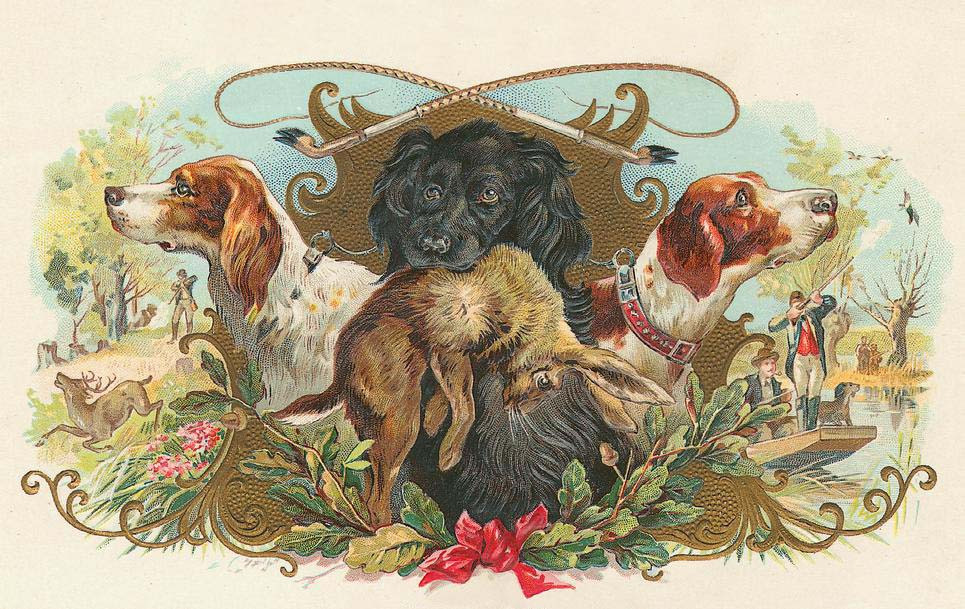 Hunting dogs with hare and crossed shotguns on cigar label — historic image