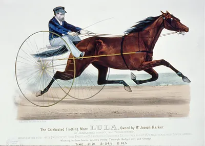 The celebrated trotting mare Lula, owned by Mr. Joseph Harker: By Alexander's Norman, dam thoroughbred