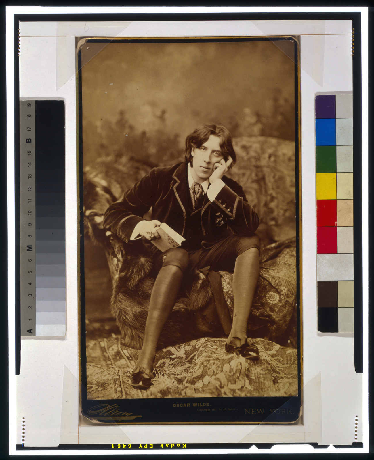 Oscar Wilde / Sarony., c1882. — historic photograph