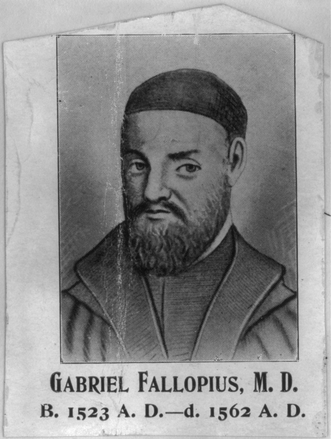 Gabriel Fallopius, 1523-1562, c1899. — historic print