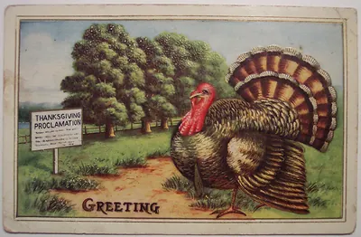Thanksgiving Proclamation greeting postcard with a turkey
