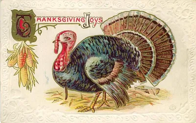 Thanksgiving Joys turkey postcard with corn