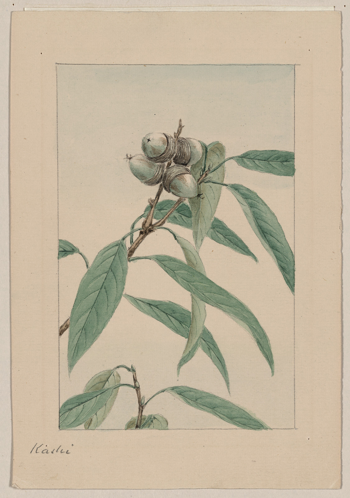 [Japanese drawing], 1750 — historic drawing