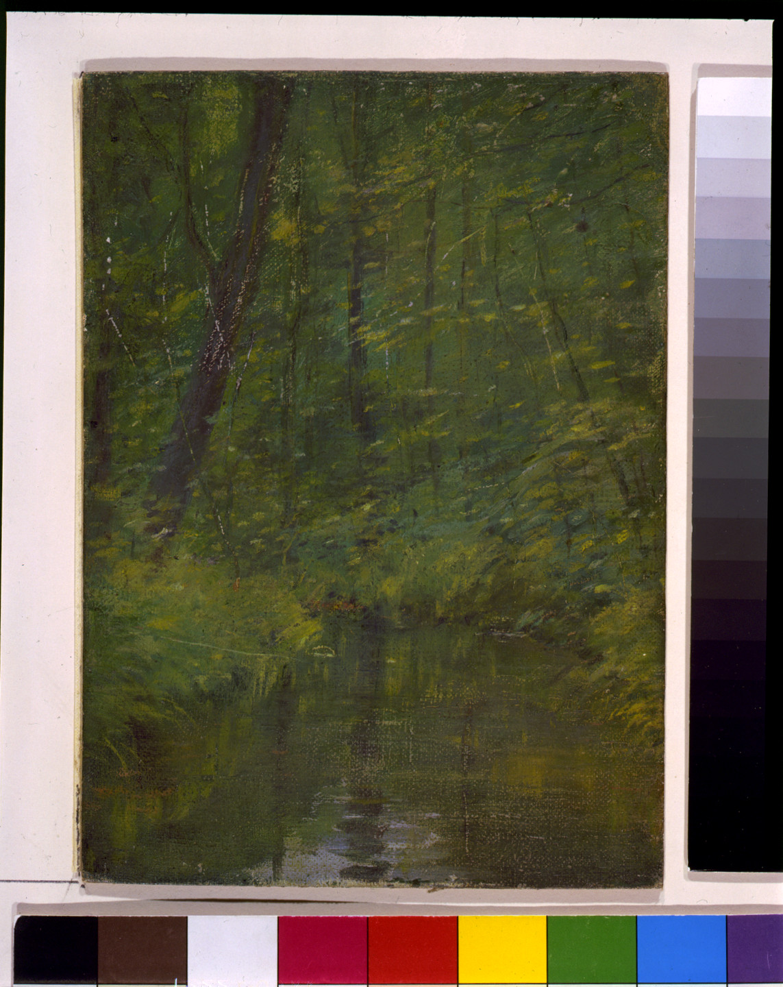 Woodland stream beneath trees and undergrowth, painted — historic image
