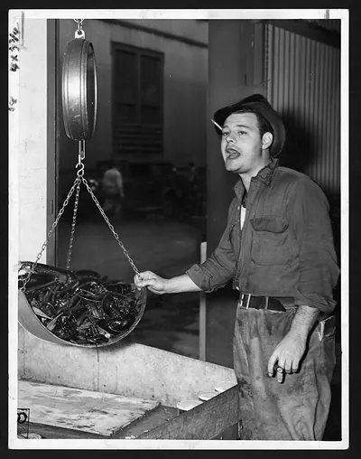 Man weighing a pan of shellfish at a market stall