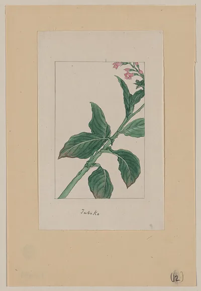 [Japanese drawing]