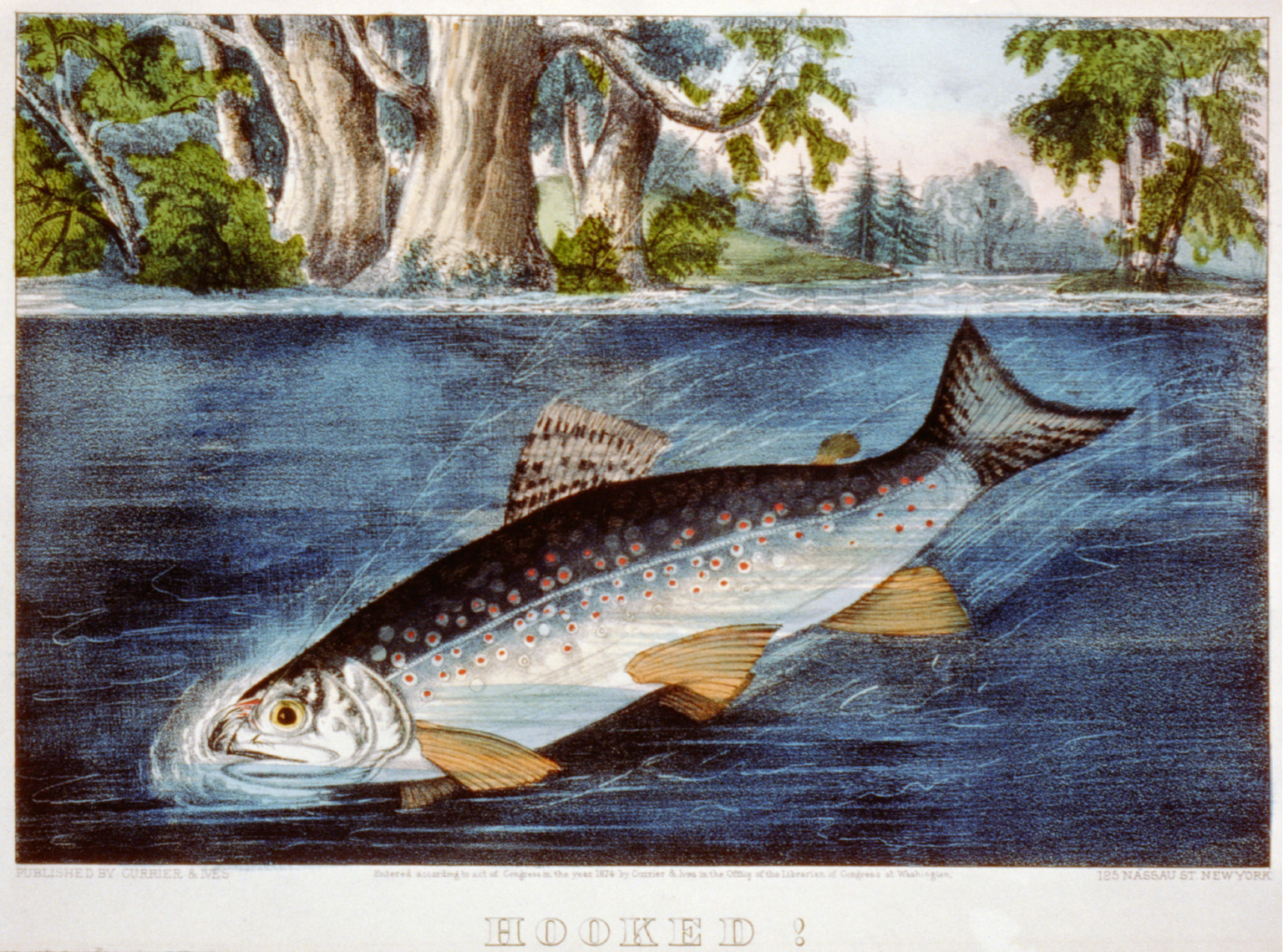 Hooked!, New York : Published by Currier & Ives, c1874. — antique lithograph