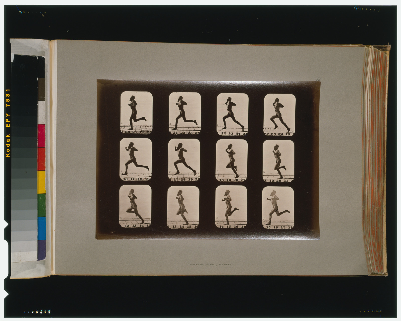 Athletes. Running, [San Francisco] : Muybridge, c1881. — historic photograph