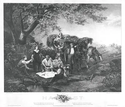 The Harvest Lunch