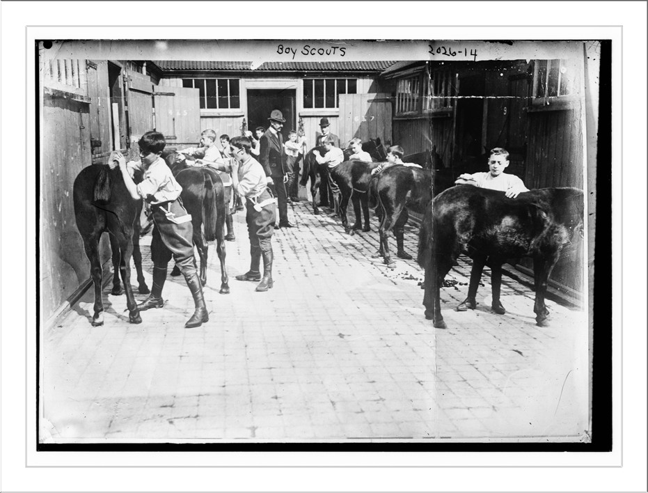 Boy Scouts. Grooming their horses., n/a — historic photograph