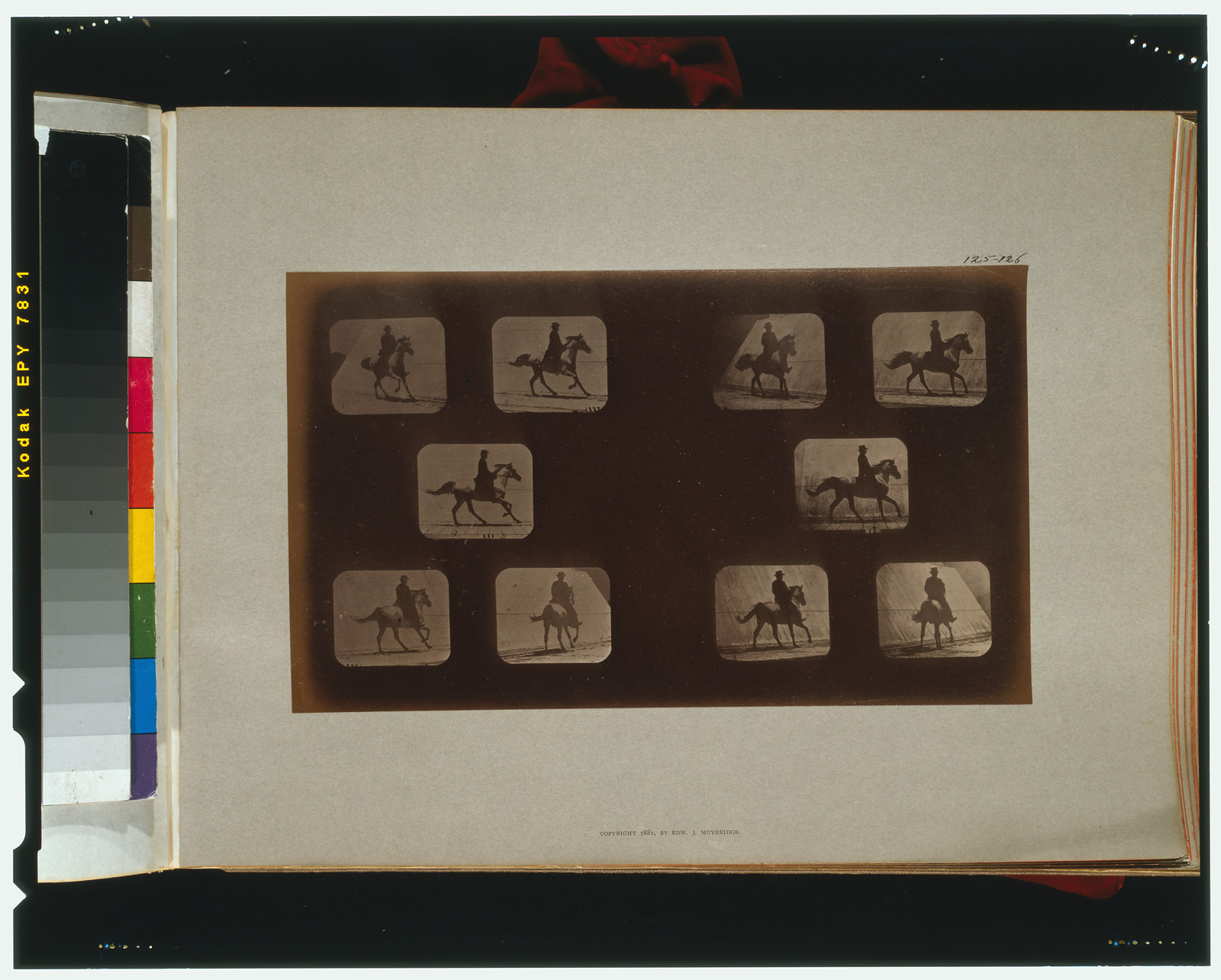 Horses. Cantering, [San Francisco] : Muybridge, c1881. — historic photograph