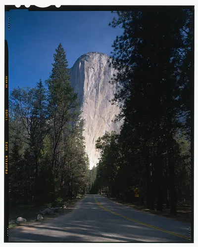 Granite cliff rising above a forest road