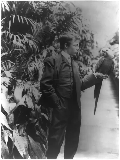 Theodore Roosevelt & Eli Yale" [blue macaw]"