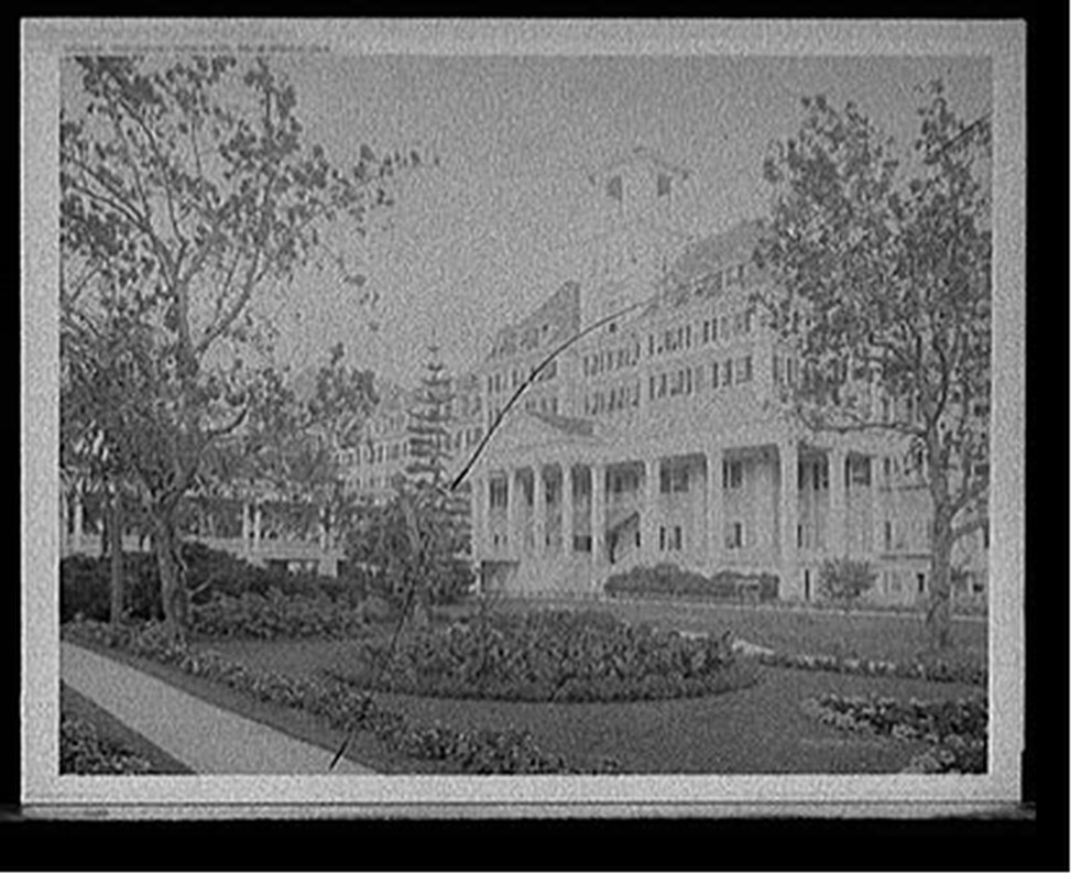 Royal Poinciana Hotel, Palm Beach, Fla., c[between 1910 and 1920] — historic photograph