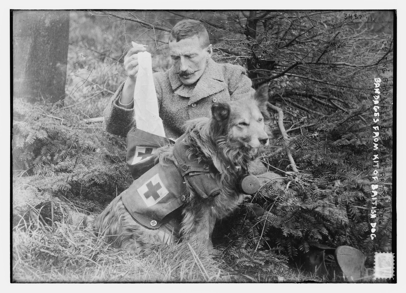 Getting bandages from kit of British Dog, n/a — historic photograph