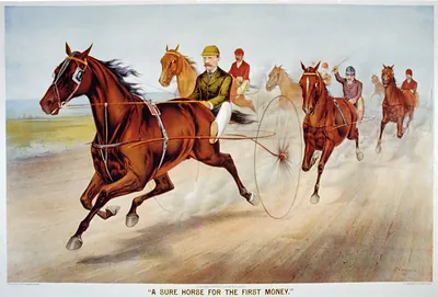 A sure horse for the first money""