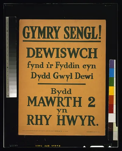 Gymry sengl! Dewiswch fynd i'r fyddin cyn dydd gwyl dewi. Bydd mawrth 2 yn rhy hwyr / printed by Roberts & Leete, Ltd., London.