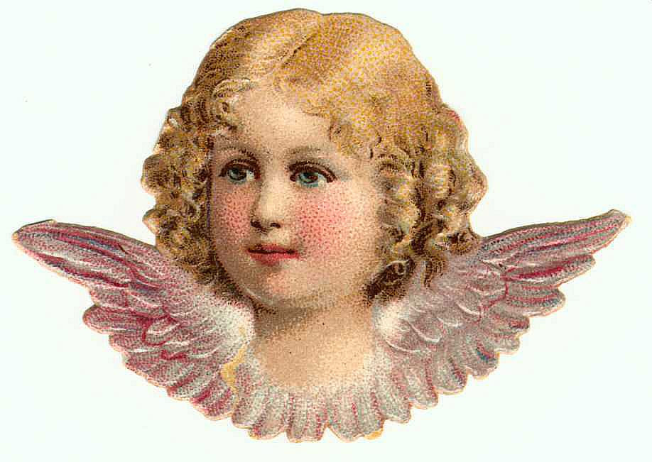 Chromolithographed cherub head with pink wings — antique lithograph