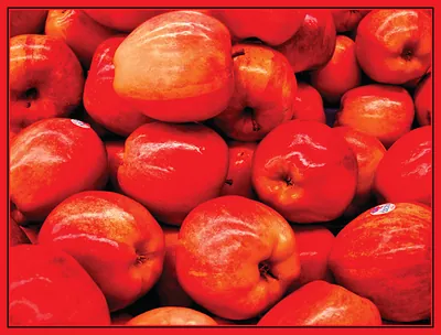 Red apples piled closely together, photographed close up
