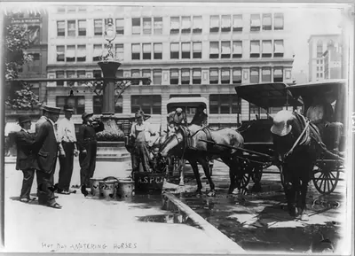 [Watering horses on a hot day]