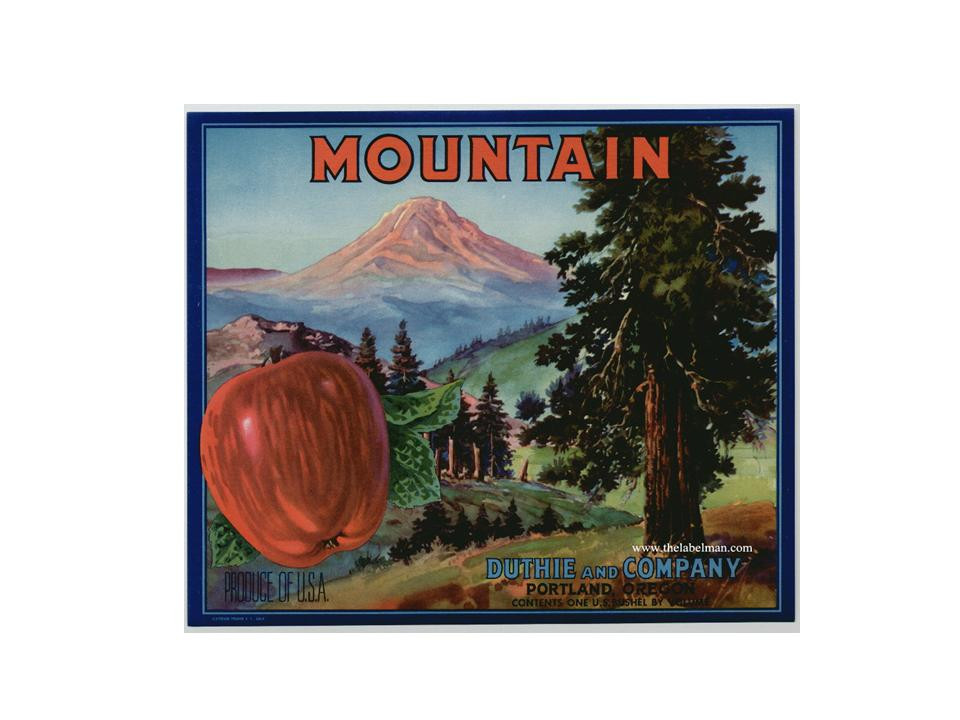 MOUNTAIN apple crate label, Duthie and Company, Portland — historic image