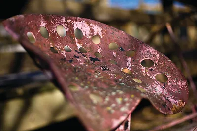 Rusted pink perforated metal tractor seat close-up
