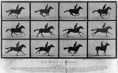 The Horse in Motion: Sallie Gardner, owned by Leland Stanford