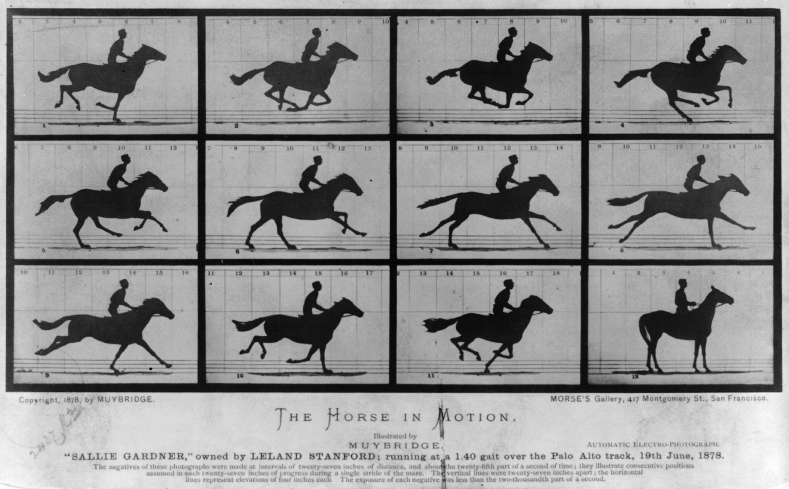 The Horse in Motion: Sallie Gardner, owned by Leland Stanford — historic image