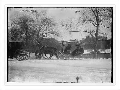 Horse drawn carriages in Central Park, New York City