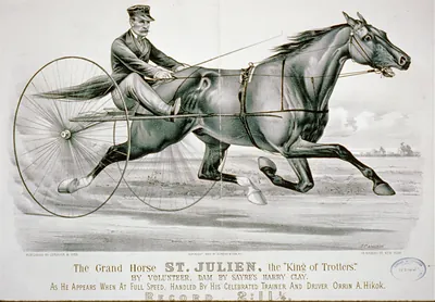 The grand horse St. Julien, the king of trotters": by Volunteer as he appears at full speed handled by his celebrated trainer and driver Orrin A. Hikok"