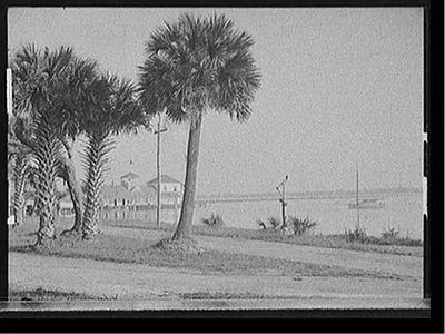 [Halifax River Yacht Club and palms, Daytona Beach, Florida]