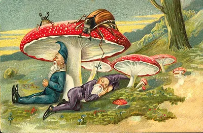 Two gnomes sleeping under fly agaric mushrooms, beetles overhead