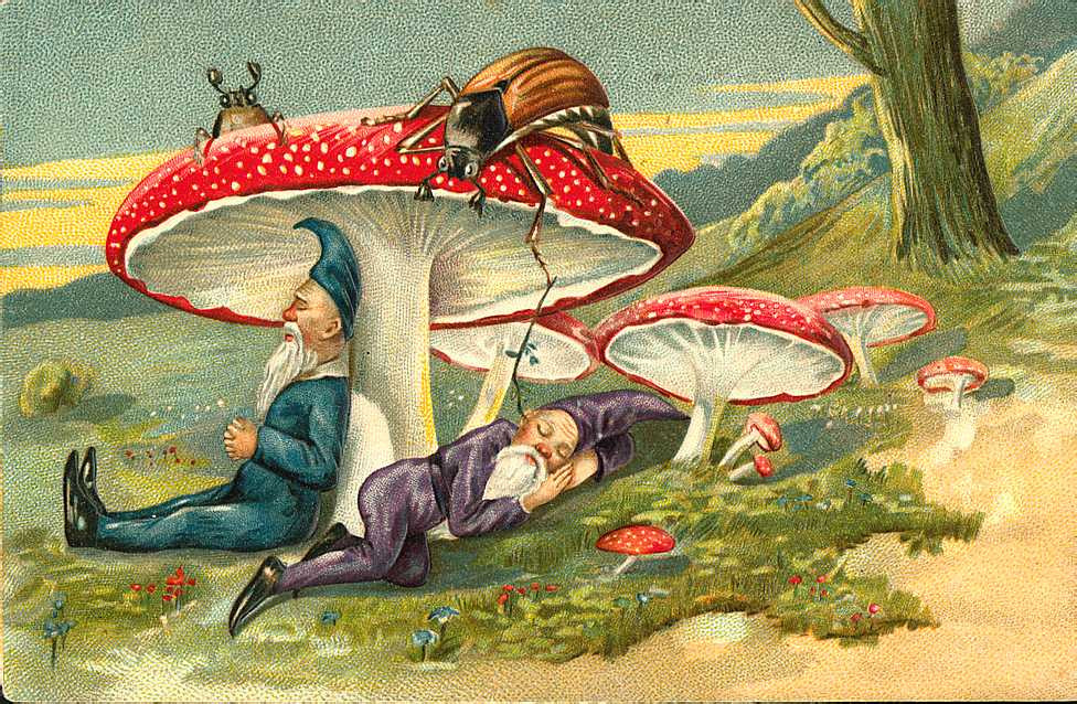 Two gnomes sleeping under fly agaric mushrooms, beetles overhead — historic image