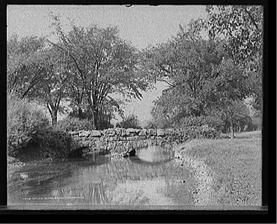 Willow Island bridge, Niagara Falls, N.Y.