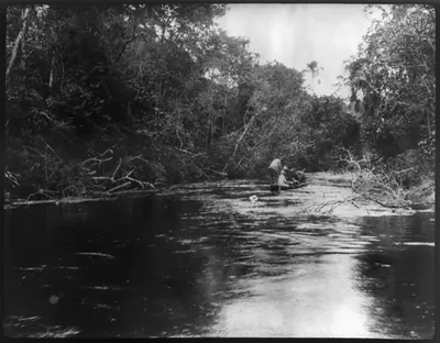 [Theodore Roosevelt, 1858-1919; lantern slide of Roosevelt's Brazil expedition, 1913, taken by his son Kermit]