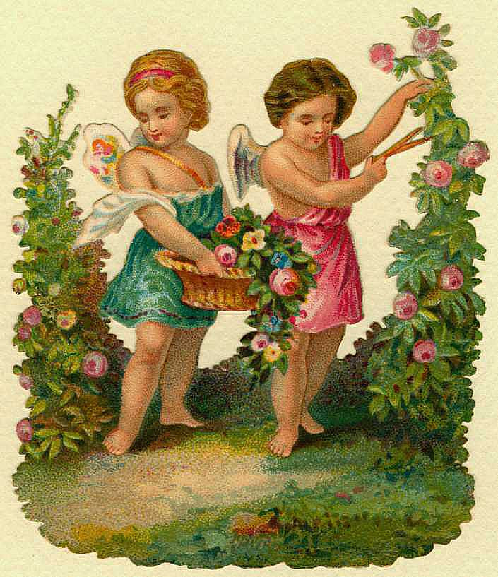Two winged cherubs gathering roses in a garden, die-cut scrap — historic image