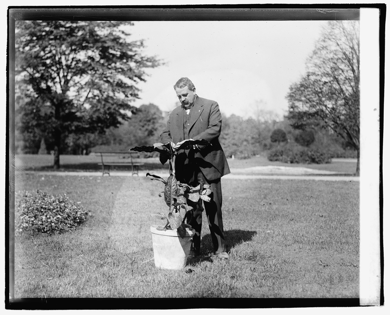 Geo. W. Hess and mother-in-law plant, [1920] — historic photograph