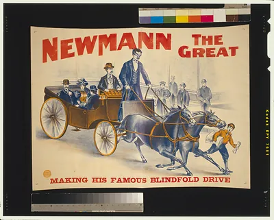 Newmann the Great