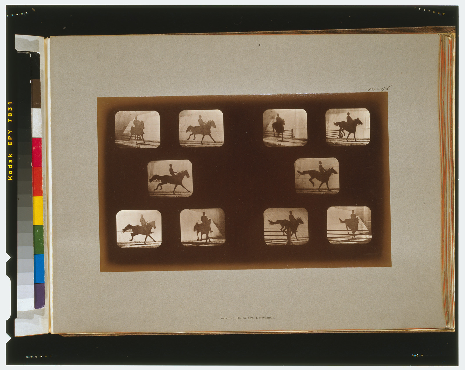 Horses. Leaping, [San Francisco] : Muybridge, c1881. — historic photograph