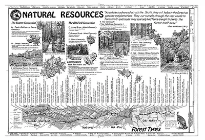 Natural Resources: Forest Types
