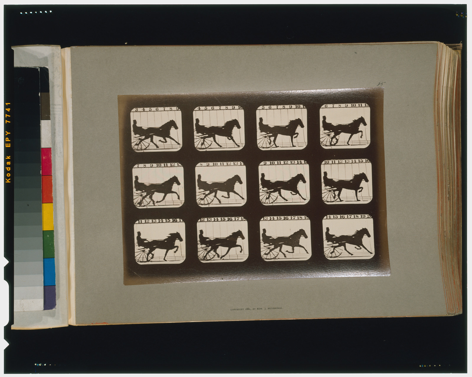 Horses. Trotting, [San Francisco] : Muybridge, c1881. — historic photograph